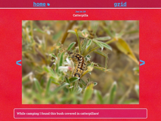 album screenshot