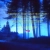 FERALZZZ'S HOME ⋆˚꩜｡ avatar
