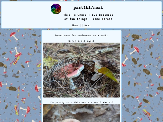 pages/neat screenshot
