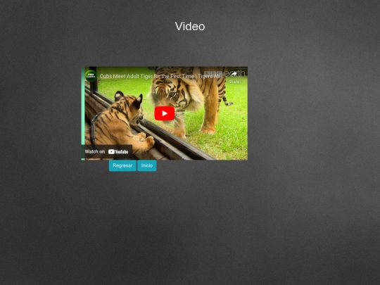 19J screenshot