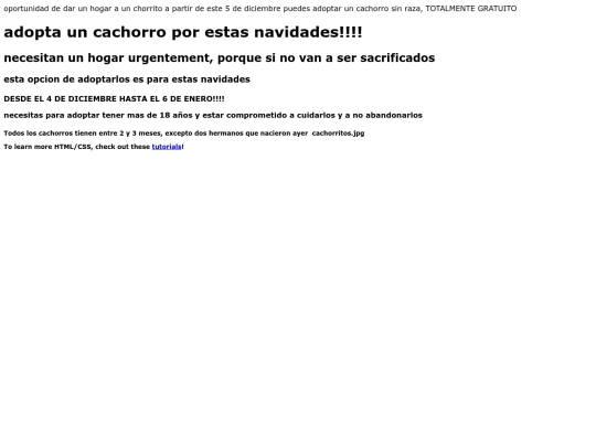 paginaweb screenshot