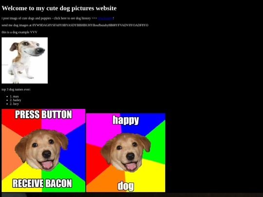 DOG screenshot
