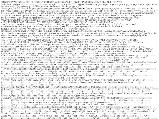 imagens/css screenshot