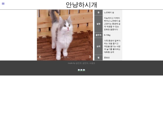 애완동물/노르웨이숲 screenshot