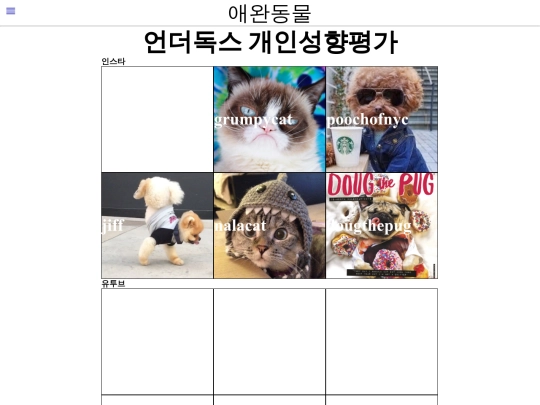 애완동물/sns screenshot
