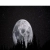user5872.neocities.org avatar