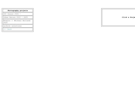 portfolio screenshot