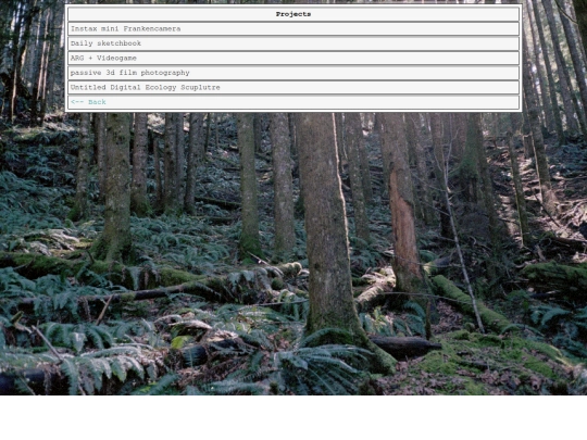 projects screenshot