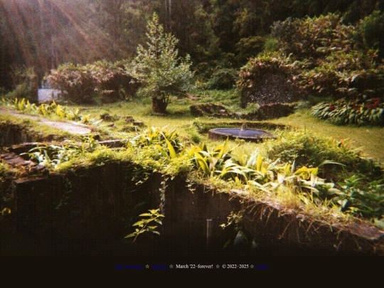 garden screenshot