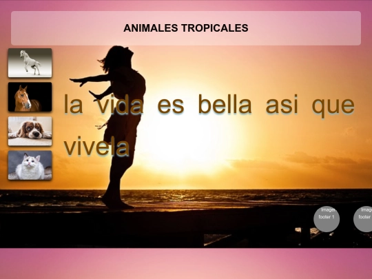 noticial screenshot