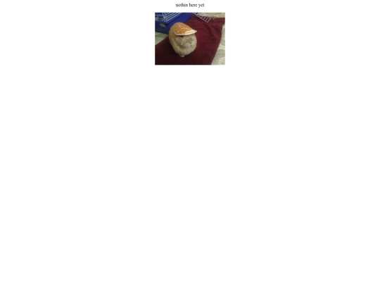 nopage screenshot