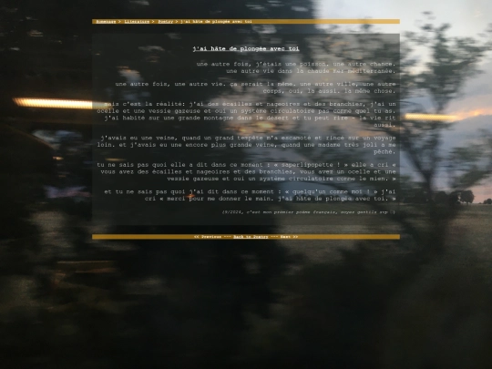 literature/poetry/plongee screenshot
