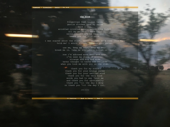literature/poetry/thebook screenshot