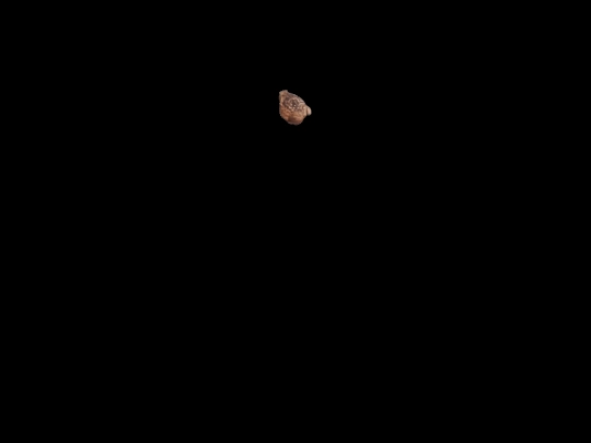 ArentYouCurious screenshot