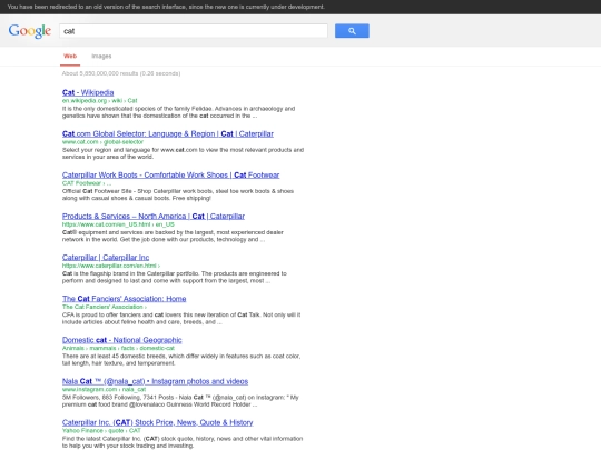cat - Google Search2 screenshot