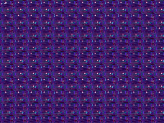 NexusPKMN screenshot