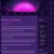 The web site of beskoritan avatar