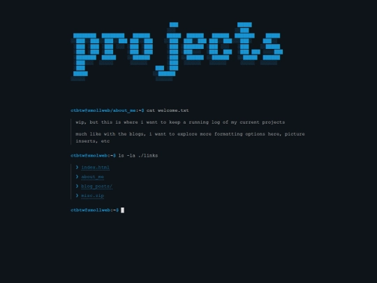 projects screenshot