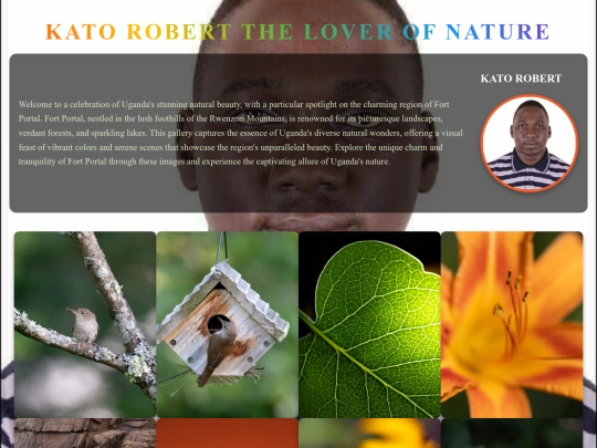 JQuerry assignment/Roberts image screenshot
