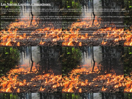 proyectotic/cambios screenshot