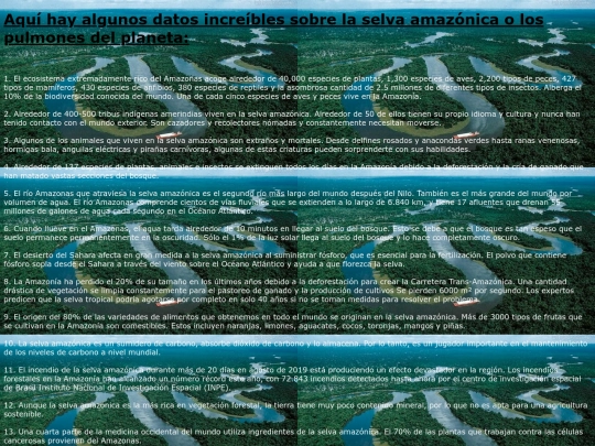proyectotic/datos screenshot