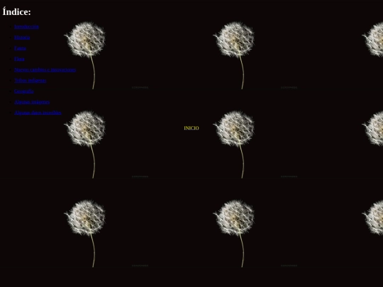 proyectotic/enlaces screenshot