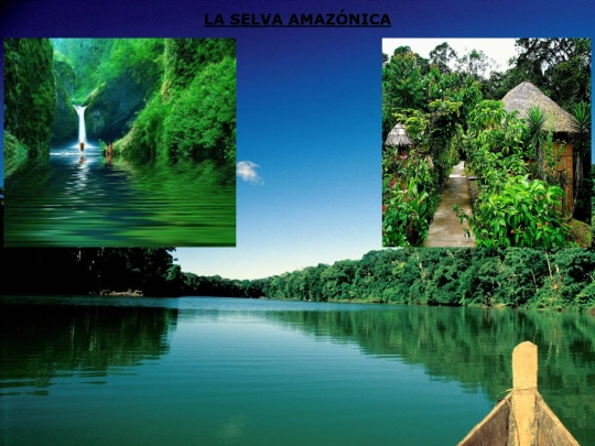proyectotic/inicio screenshot