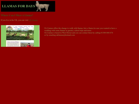 meet screenshot