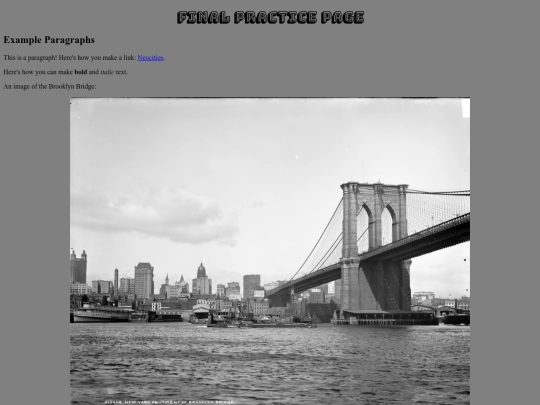 finalprac screenshot