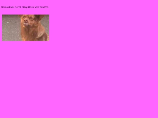 index 2 screenshot