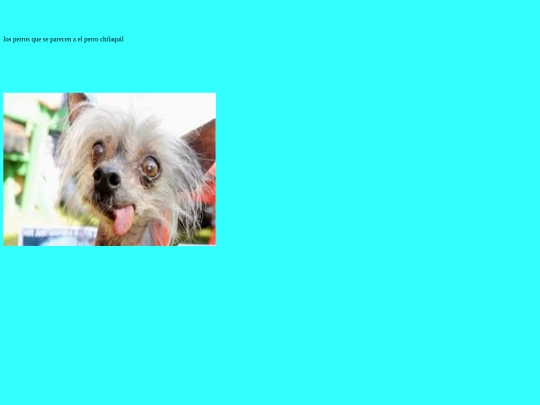 index 3 screenshot
