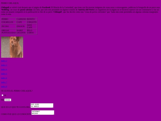 index screenshot