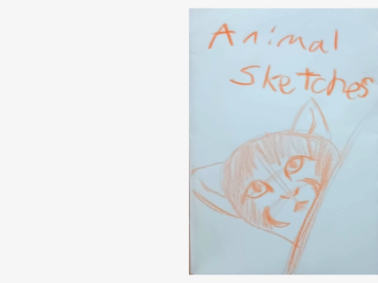 pages/art/zineArt/animal sketches/animalSketches screenshot
