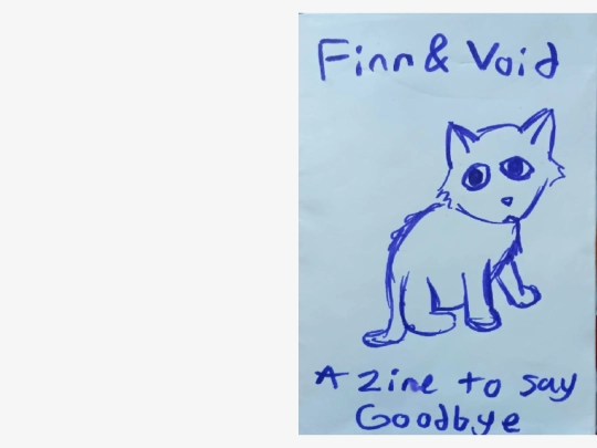 pages/art/zineArt/finn and void/finnAndVoid screenshot