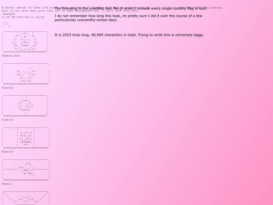 ascii_flag screenshot
