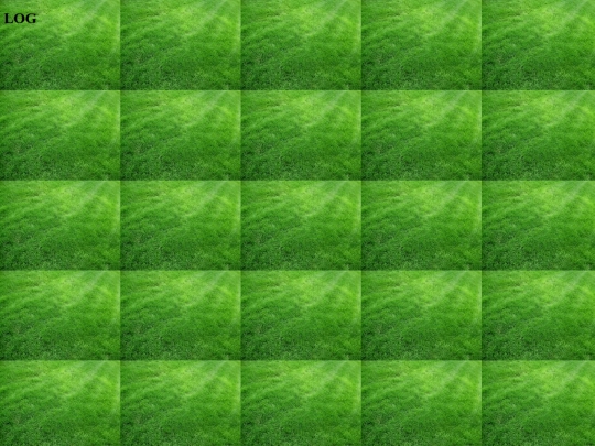 log screenshot