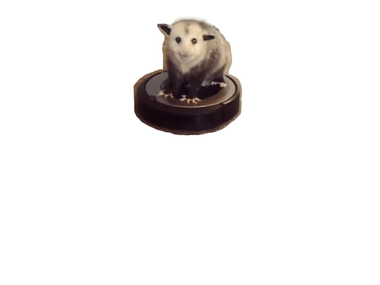 roombapossum screenshot
