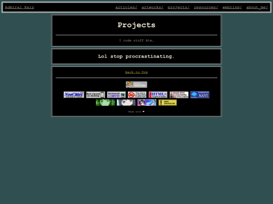 projects screenshot