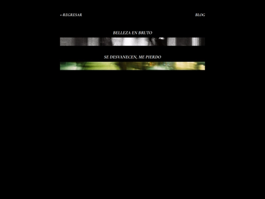 galeria/blog screenshot