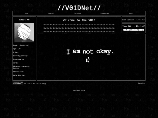 voidnet screenshot