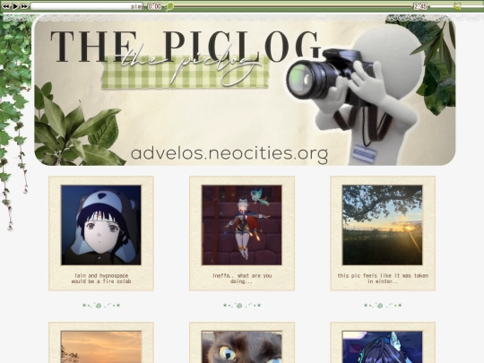 piclog screenshot