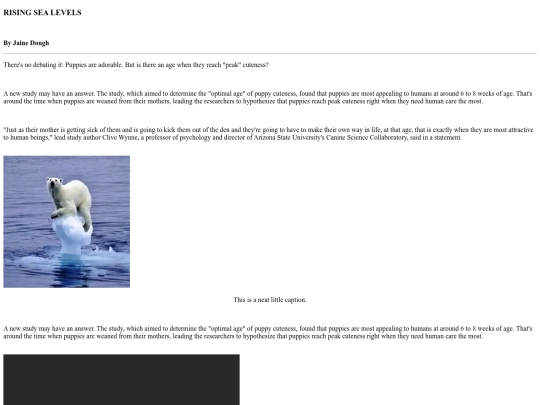 article-test screenshot
