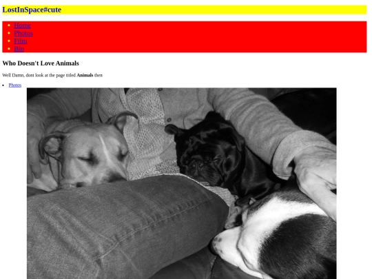 animals2 screenshot