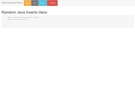 java screenshot