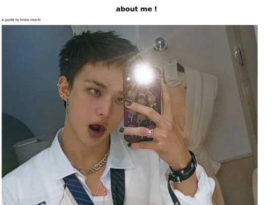 brwniboy screenshot
