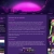 curious-insanity.neocities.org avatar