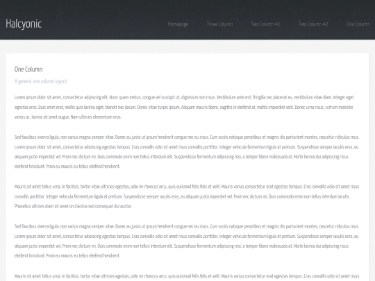 Standing here/html5up-halcyonic/onecolumn screenshot