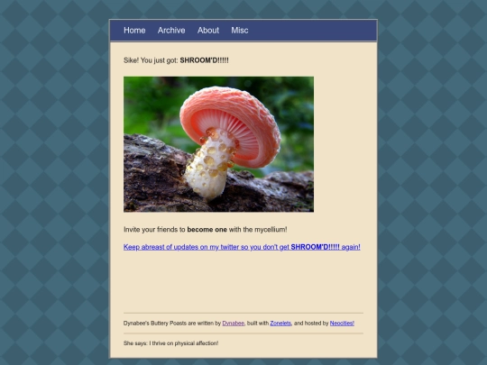 posts/SHROOM screenshot