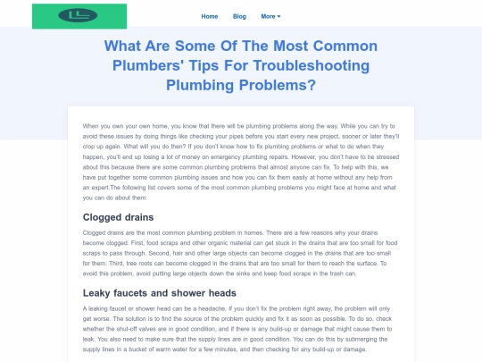 what-are-some-of-the-most-common-plumbers-tips-for-troubleshooting-plumbing-problems screenshot