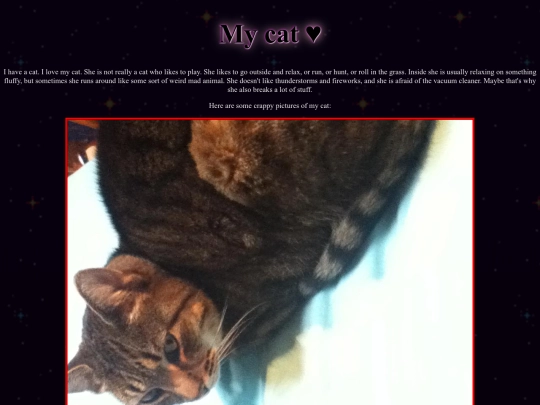 cat screenshot